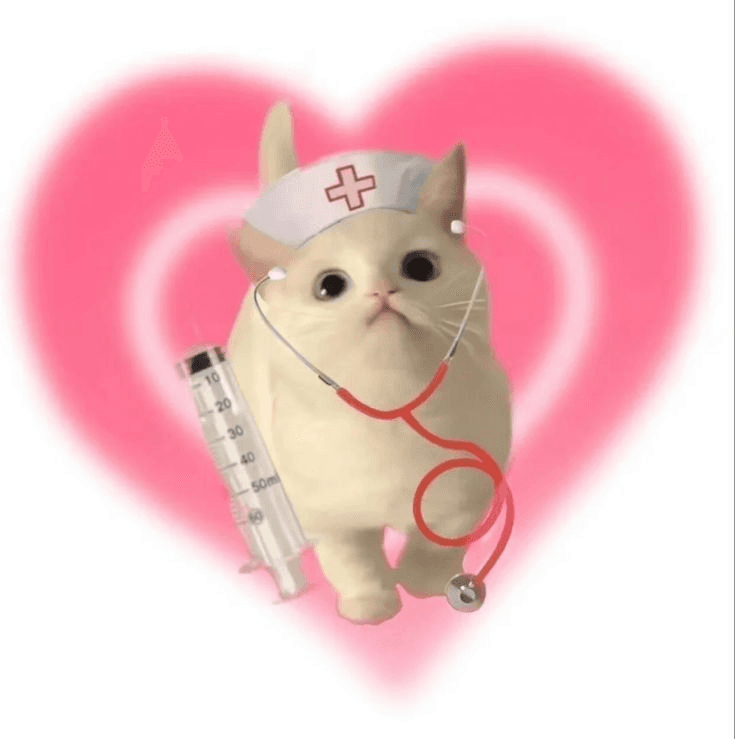 avatar dokter kucing