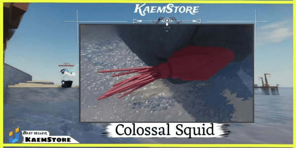 Gambar Product Big Colossal Squid (1K+ KG) Random Mutation | Fisch | RBL |