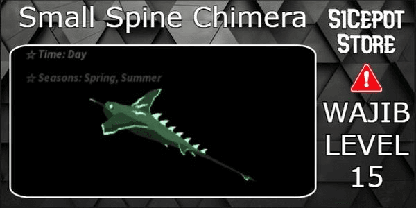Gambar Product Small Spine Chimera Random Kg