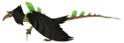 product-image-0