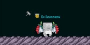 Gambar Product Dragon Fruit Dragon Wings + Wls Bonus
