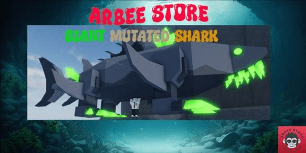 Product Showcase
