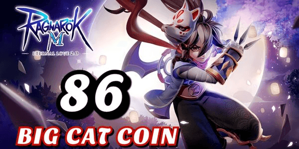 Gambar Product 80 Big Cat Coin