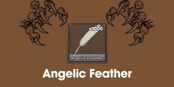Gambar Product Angelic Feather