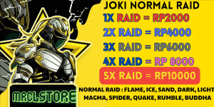 Joki per raid/fragment by Req