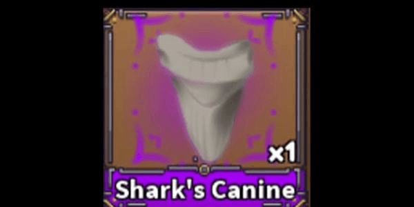 Gambar Product Shark's Canine