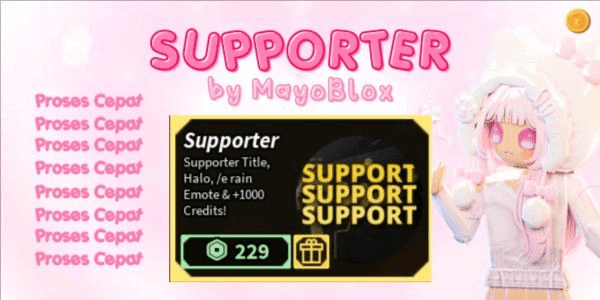 Gambar Product Supporter