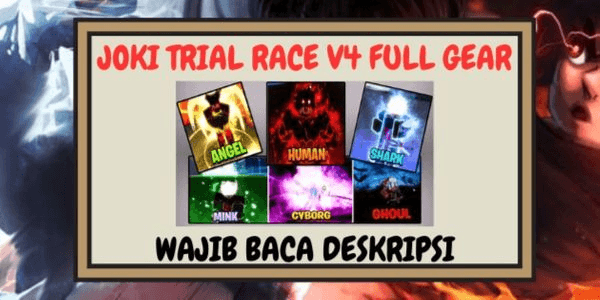 Gambar Product Jasa Race V4 Full Gear