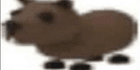 product-image-0