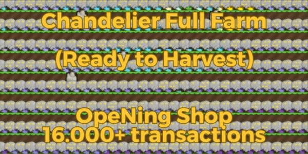 Gambar Product CHANDELIER FARM / CHAND FARM FULL READY HARVEST