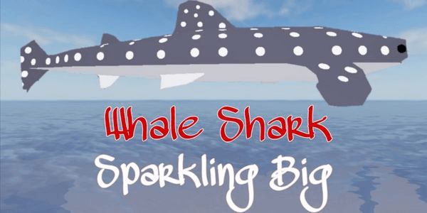 Gambar Product Sparkling Big Whale Shark | 18000 Kg+