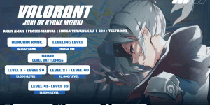 "Derank Service"