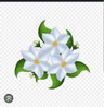 seller-image