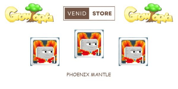 product-image-2