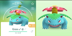 Venusaur Moveset: Frenzy Plant