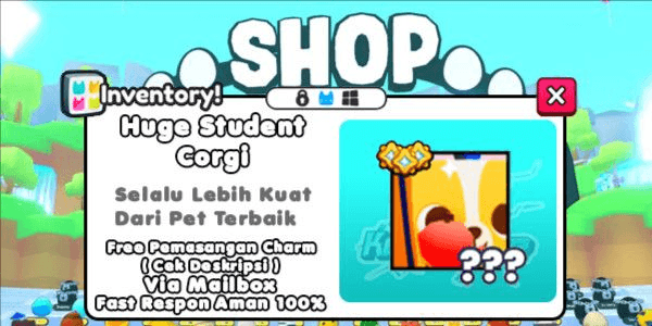 Gambar Product Huge Student Corgi