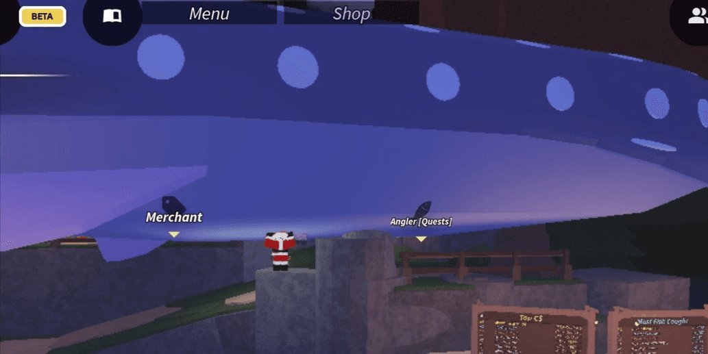 Product Showcase