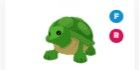Turtle FR > pet Adopt me