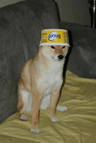 seller-image