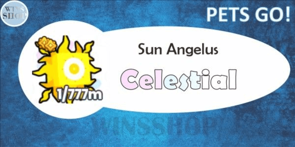 Gambar Product Sun Angelus