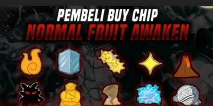 Product Showcase