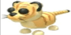 product-image-0