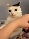 seller-image