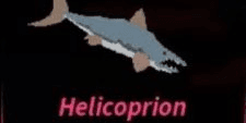 Gambar Product Helicorpion (New Fish) (RBL Fisch)