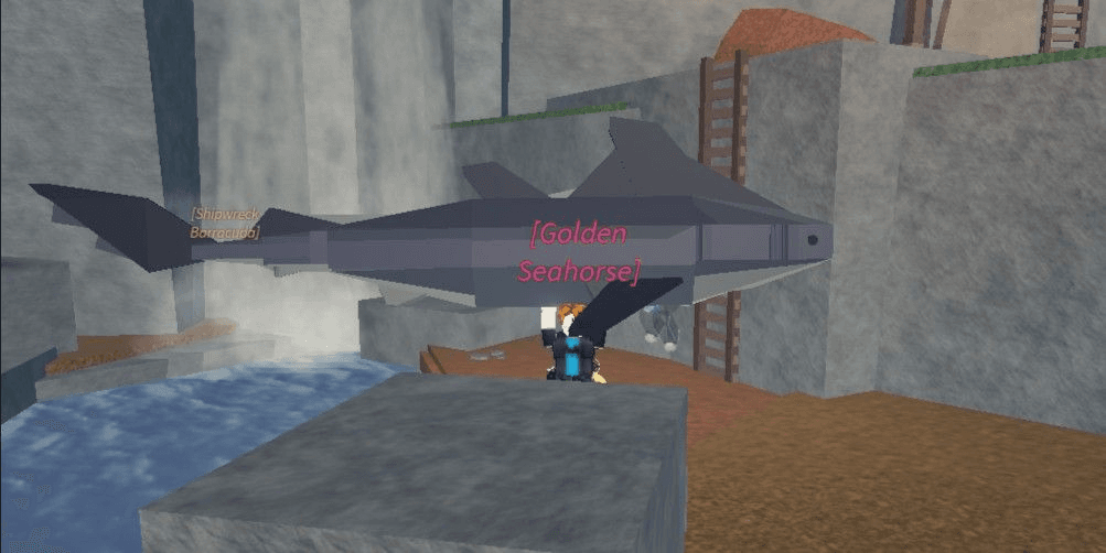 Product Showcase