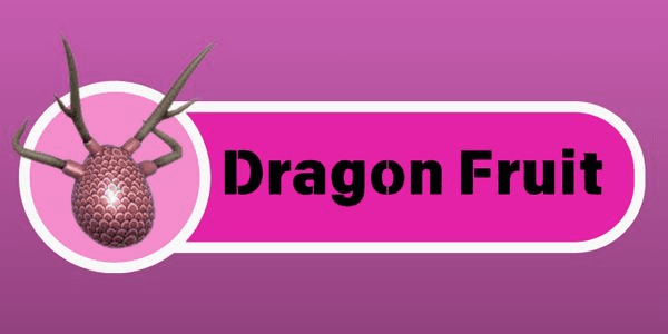 Gambar Product Dragon Fruit