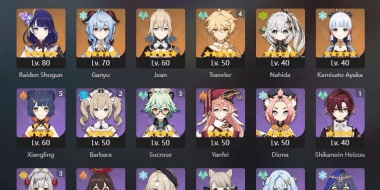 Product Showcase