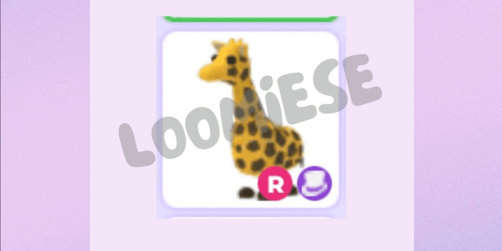 product-image-0
