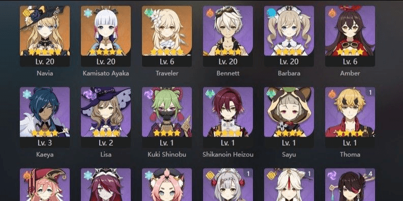 Product Showcase