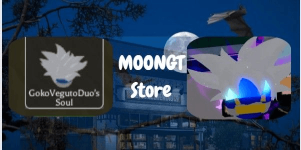 Product Showcase