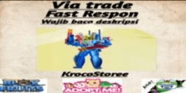 Product Showcase