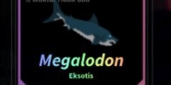 Gambar Product normal megalodon - fisch - RBL (random kg)