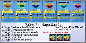 Double Dragon Old Pets Pack - Ninja Legends