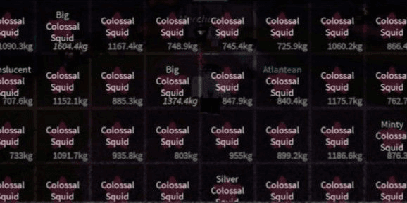Gambar Product colossal squid
