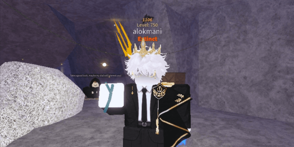 Product Showcase
