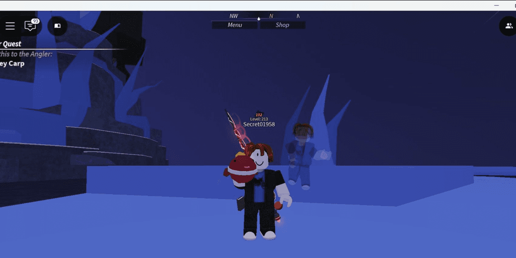 Product Showcase