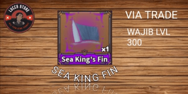 Gambar Product Sea King's Fin