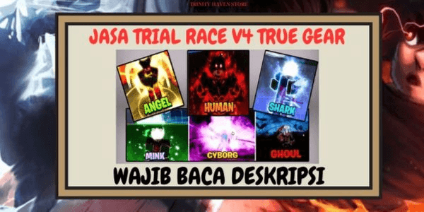 Gambar Product Jasa Race V4 True Gear