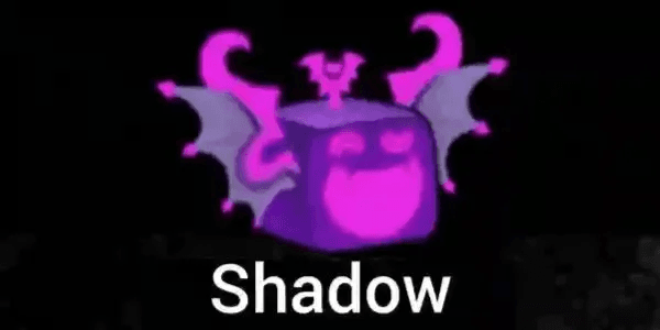 Shadow