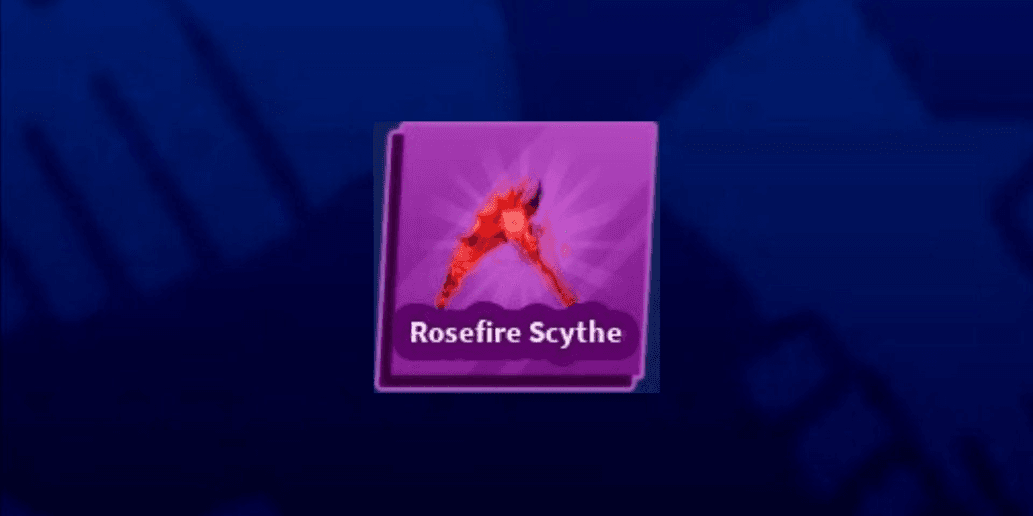 Product Showcase