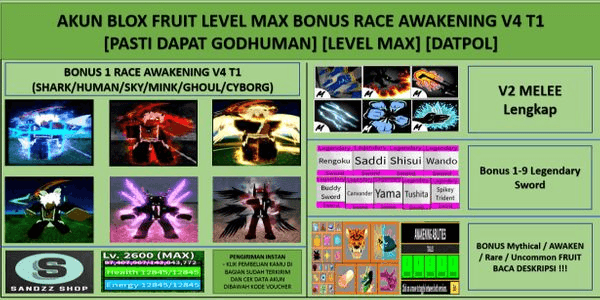 Gambar Product Blox Fruit Account Level Max Bonus Race Awakening V4 T1 (Godhuman)