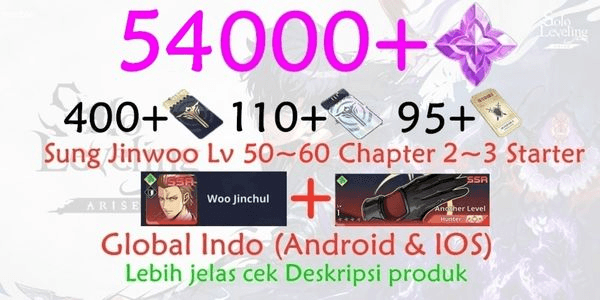 Gambar Product Akun Timbunan solo leveling arise-1