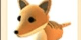 Gambar Product Tasmanian Tiger (Normal)