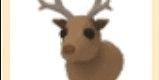 Gambar Product Reindeer (normal)