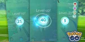 500000 Exp
