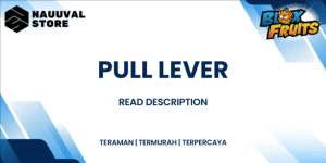 Jasa Pull Lever